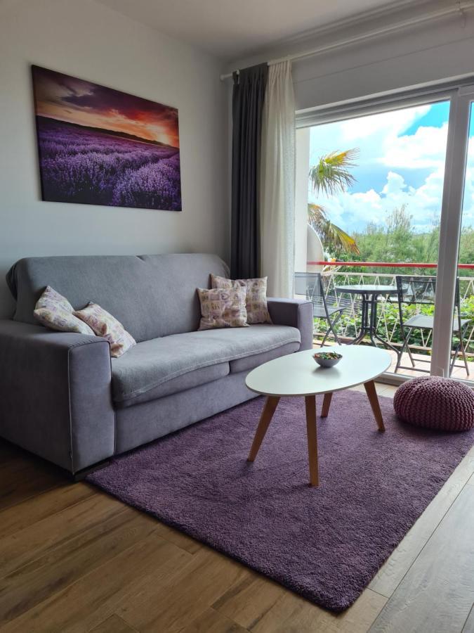 Apartman Luka Novigrad  ภายนอก รูปภาพ